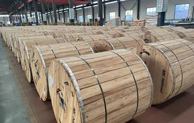 Fiber Optic cable
